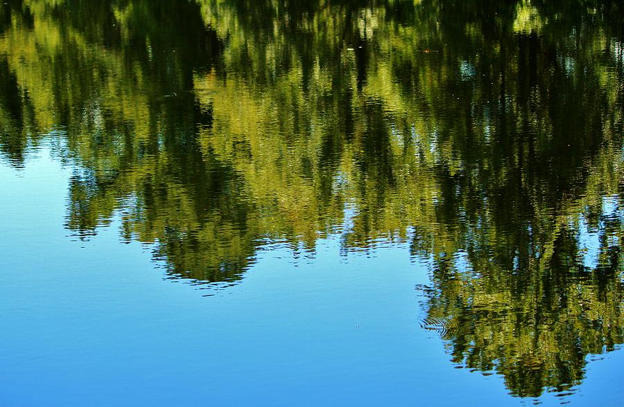 Reflections Of Nature Photograph by Cynthia Guinn