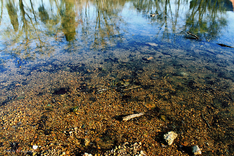 Reflections of Nature Photograph by Todd Blanchard