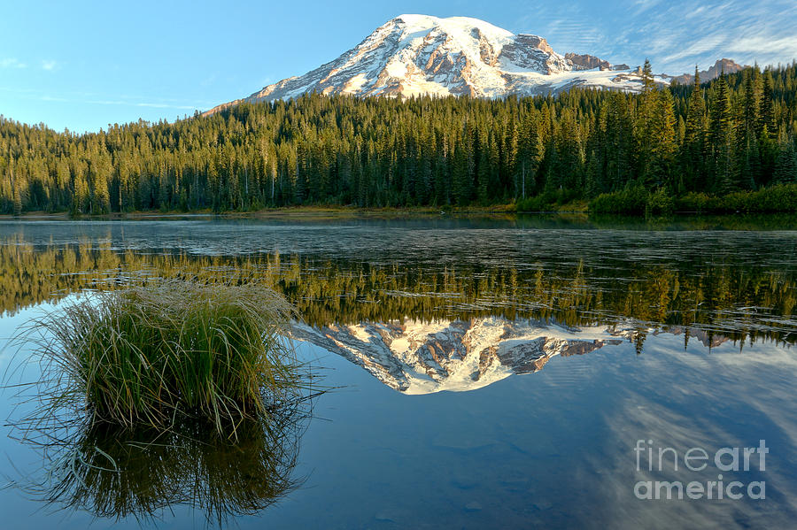Reflections Of Rainier And Grass Photograph by Adam Jewell
