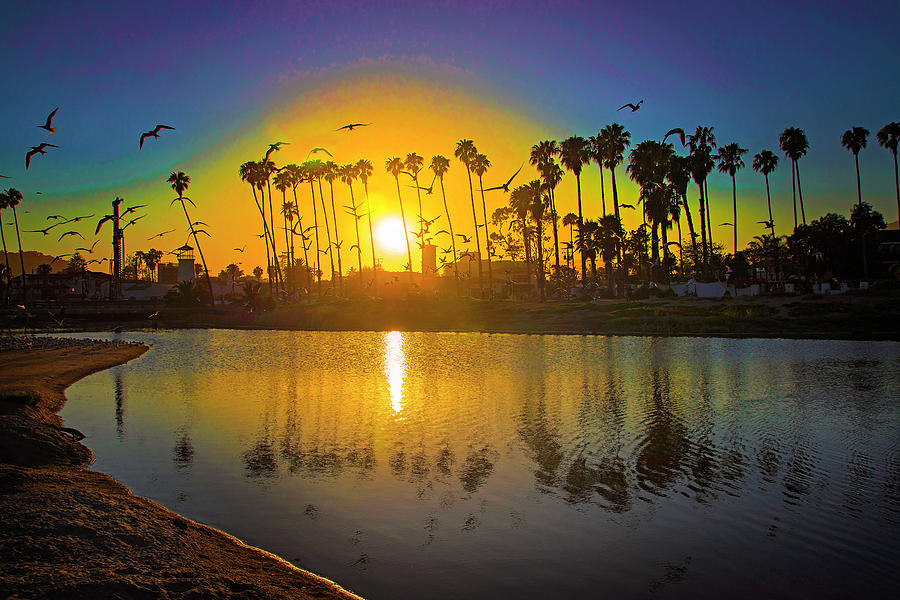 Reflections of Santa Barbara Photograph by Lynn Bauer