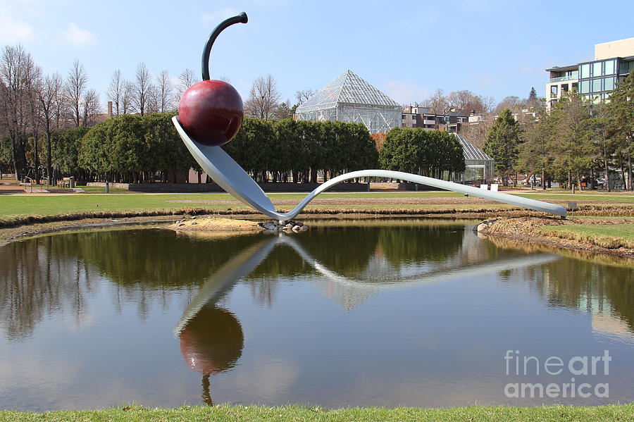 Reflections of Spoonbridge Cherry Photograph by Suzanne Oesterling