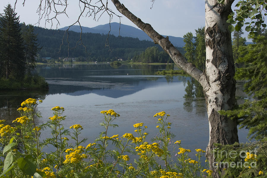 Summer Photograph - Reflections of Summer by Idaho Scenic Images Linda Lantzy