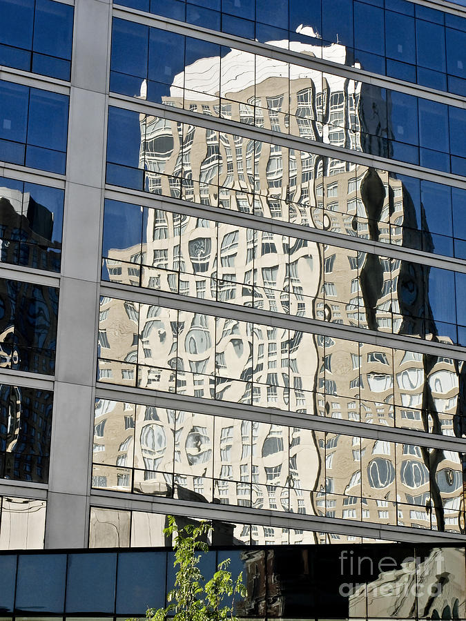 Reflections of Tall Office Buildings Photograph by Carol F Austin