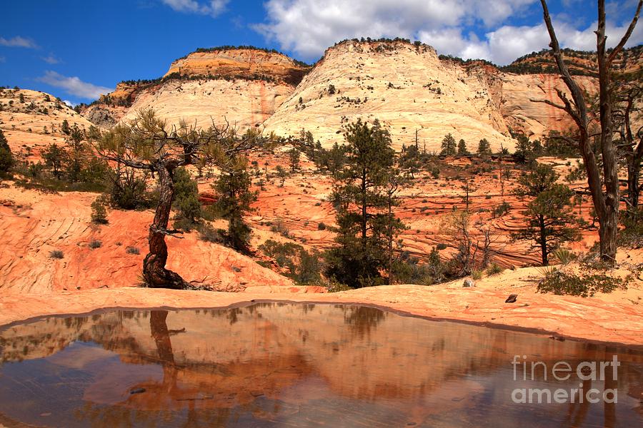 Reflections Of The East Zion Back Country Photograph by Adam Jewell