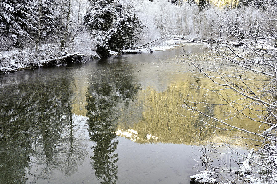 Reflections of Winter Photograph by Clayton Bruster