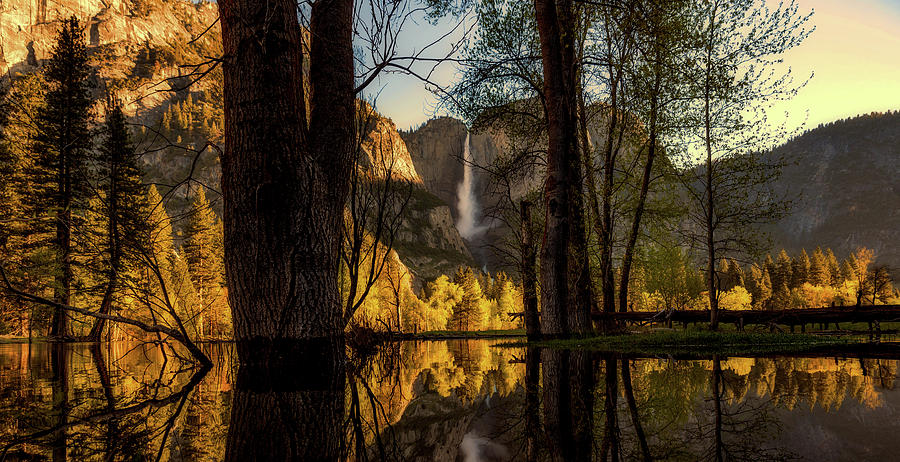 Reflections Of Yosemite Photograph by Mountain Dreams