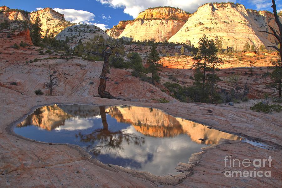 Reflections Of Zion East Photograph by Adam Jewell