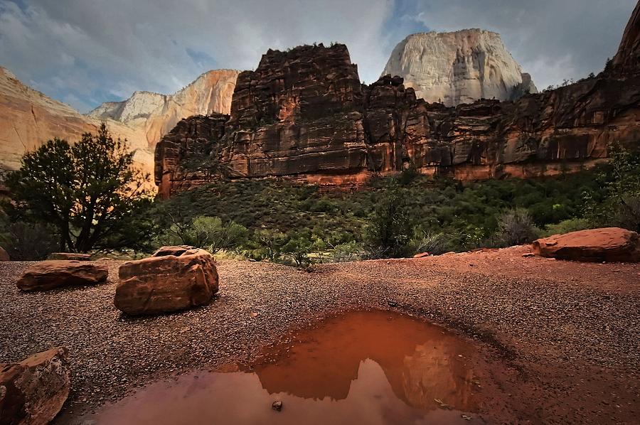 Reflections of Zion Photograph by Robert McCubbin
