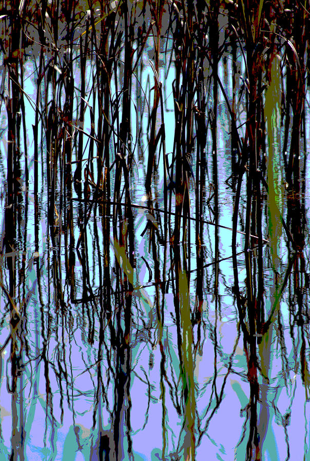 Reflections on a Pond Photograph by Larry Jones