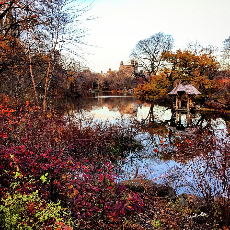 Reflections On A Winter Day - Central Park Photograph by Madeline Ellis