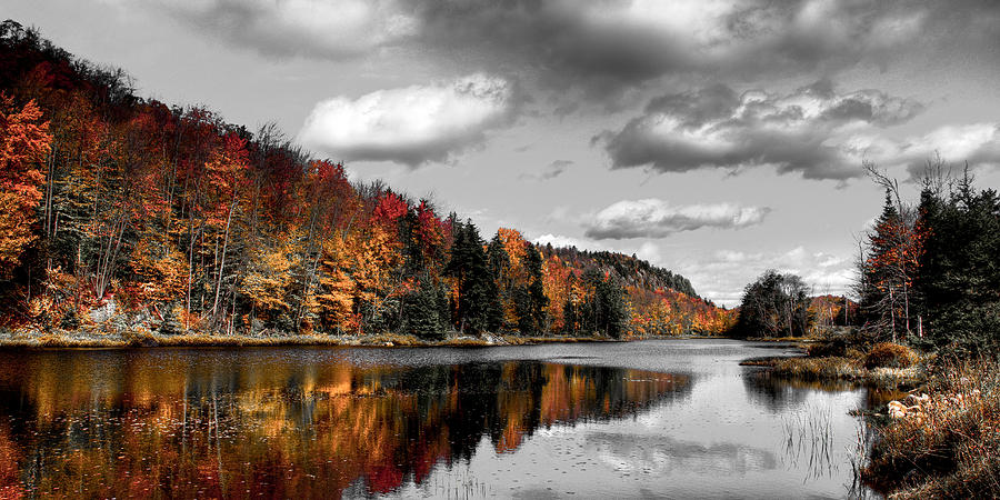 Fall Photograph - Reflections on Bald Mountain Pond II by David Patterson