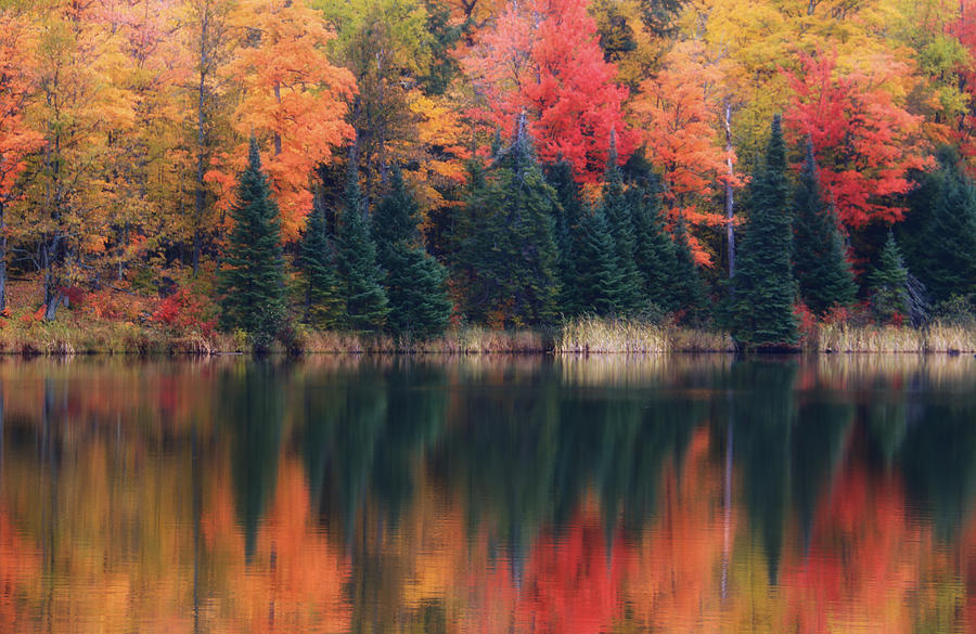 Fall Photograph - Reflections on Lake Plumbago by Rachel Cohen