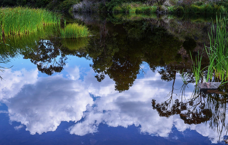 Reflections on Pond Photograph by Lexa Harpell