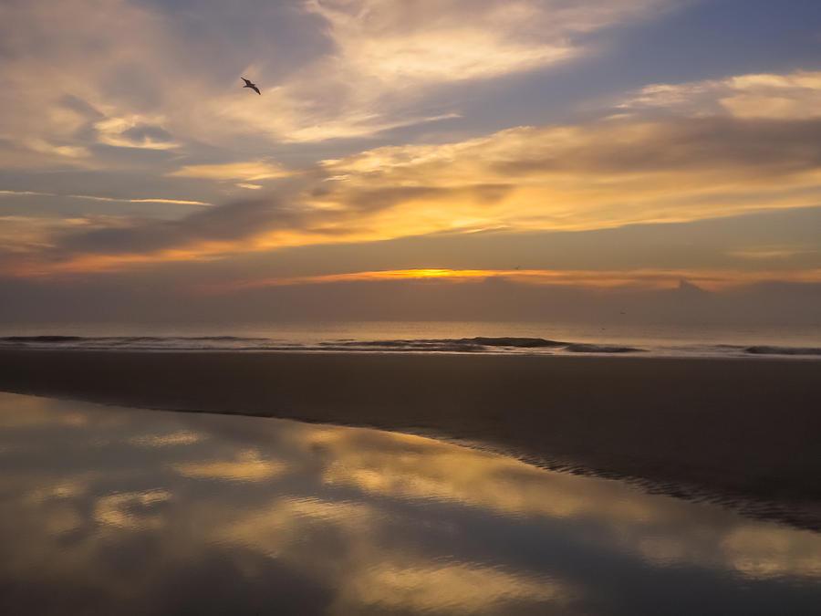 Sunset Photograph - Reflections on the beach by Zina Stromberg