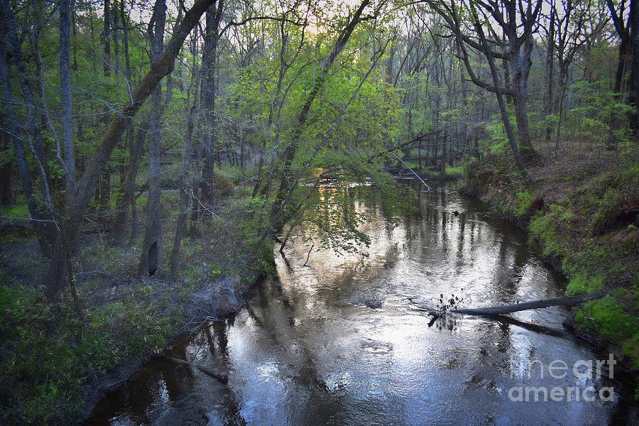 Reflections On The Congaree Creek Photograph by Skip Willits