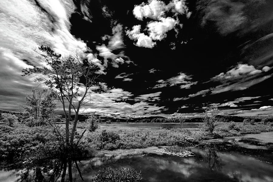 Reflections on Tupper Lake Photograph by David Patterson