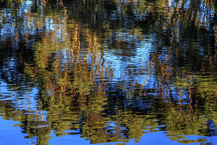 Reflections on Water Photograph by Robert Caddy