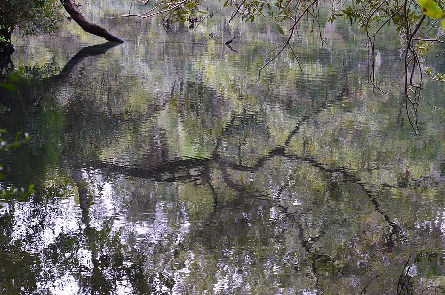 Reflections Over Homosassa Springs Photograph by Warren Thompson