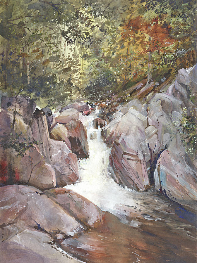 Waterfall Painting - Reflections by P Anthony Visco