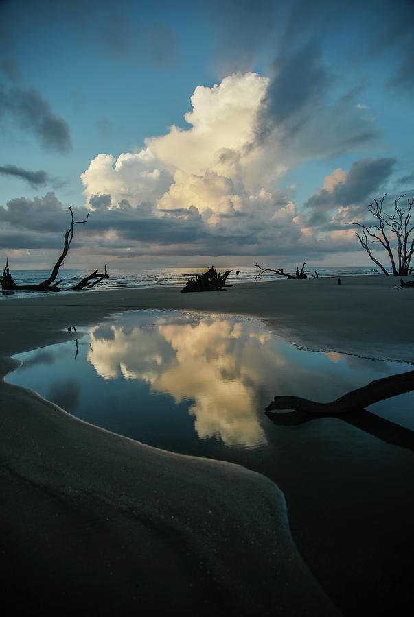 Reflections by Ronald Santini Reflections by Ronald Santini