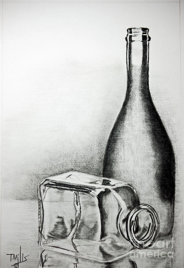Bottle Drawing - Reflections by Terri Mills