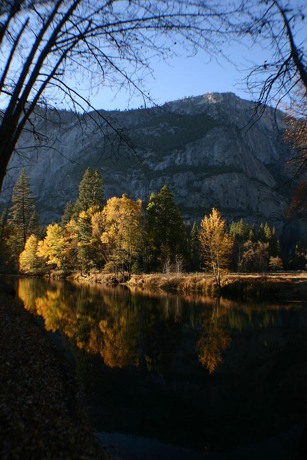 Yosemite National Park Photograph - Reflections by Travis Day