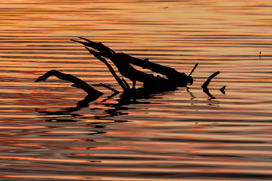 Reflective Abstract by Louise Lindsay Reflective Abstract by Louise Lindsay