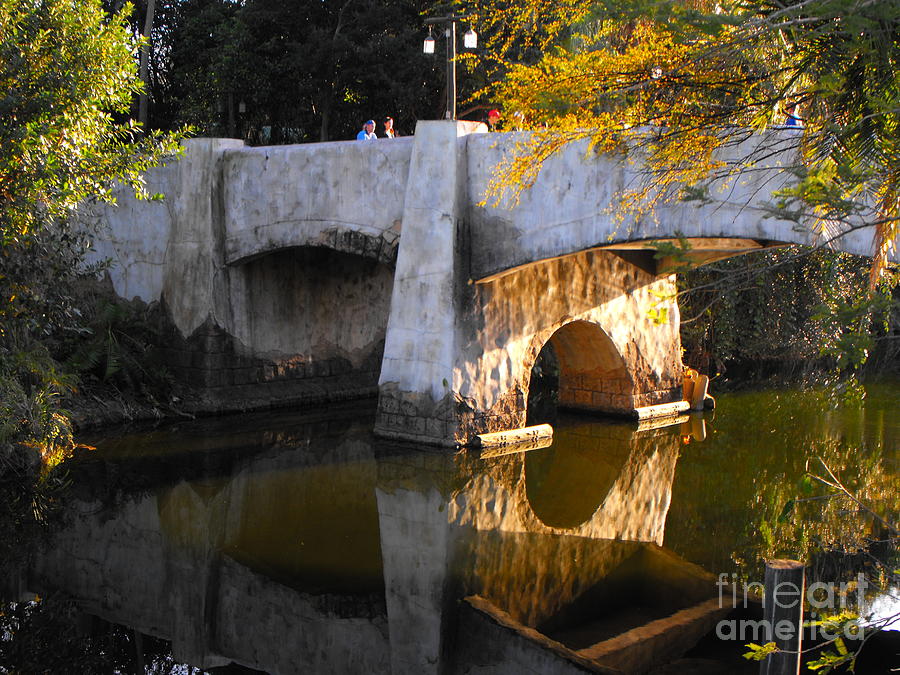 Reflective Bridge Photograph by Erick Schmidt