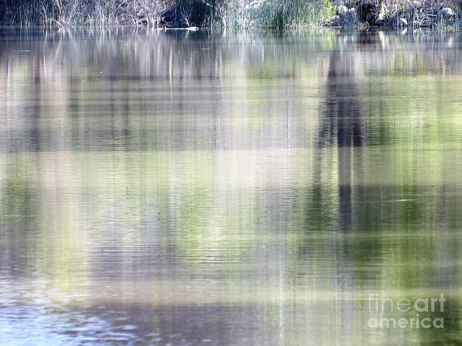 Reflective moments Photograph by Barbara Leigh Art