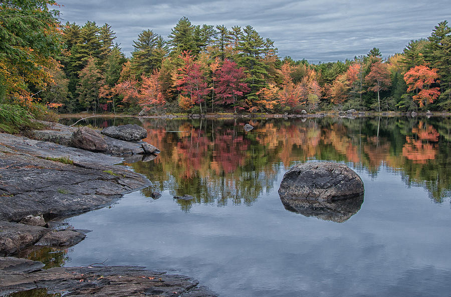 Reflective Pond Photograph by Lynnae Pedersen