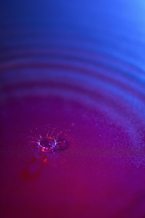 Reflective Splashes Photograph by Jon Glaser