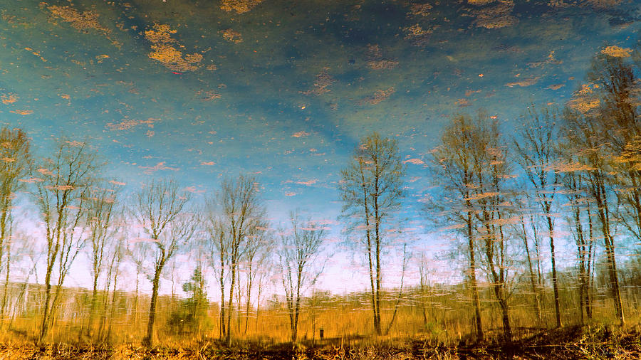 Reflective Water Photograph by John Rivera