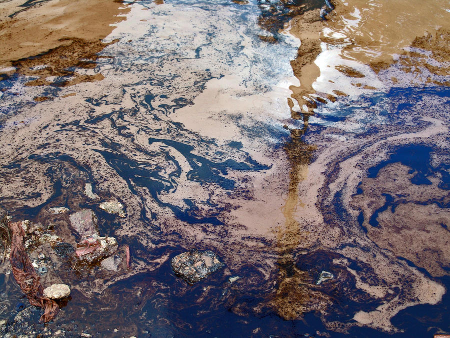 Reflexes Photograph by Mario Romero Orta - Fine Art America