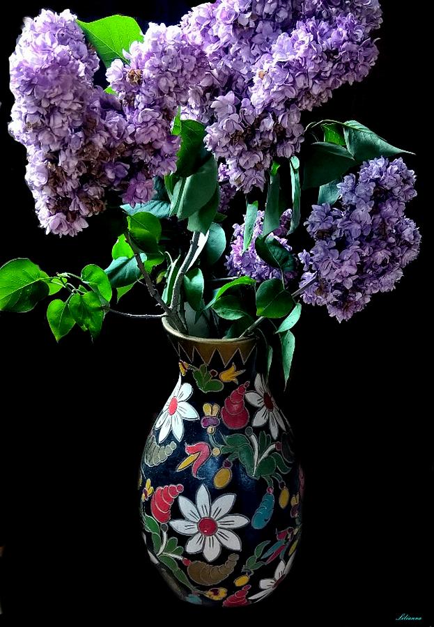 Refreshing Lilac Photograph