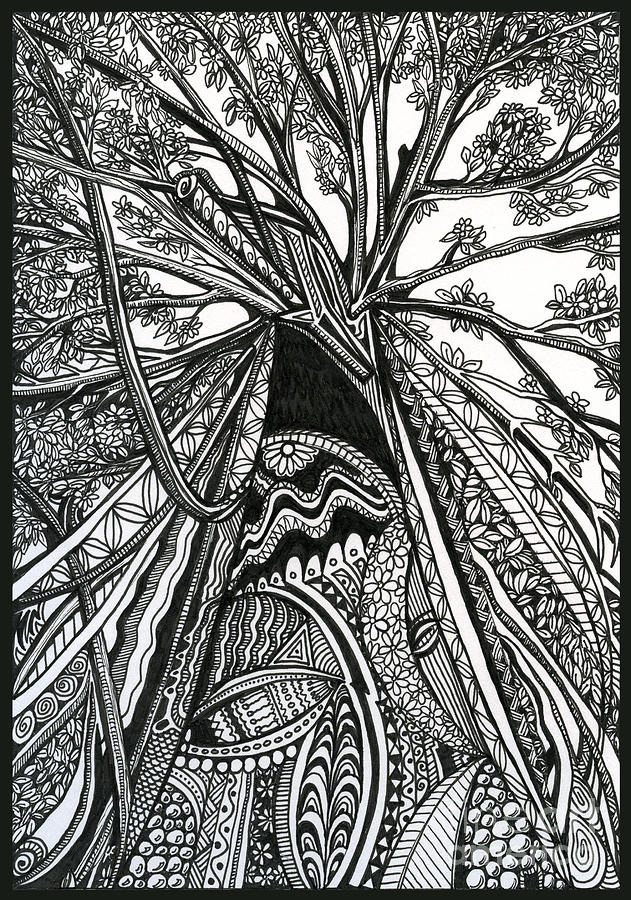Tree Drawing - Regal by Danielle Scott