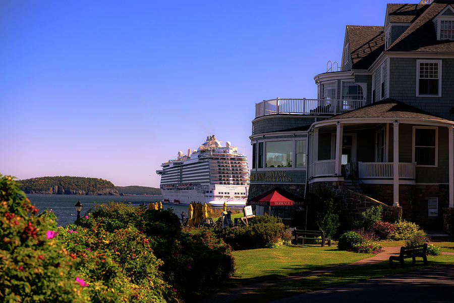 Flower Photograph - Regal Princess and The Bar Harbor Inn by Sherman Perry