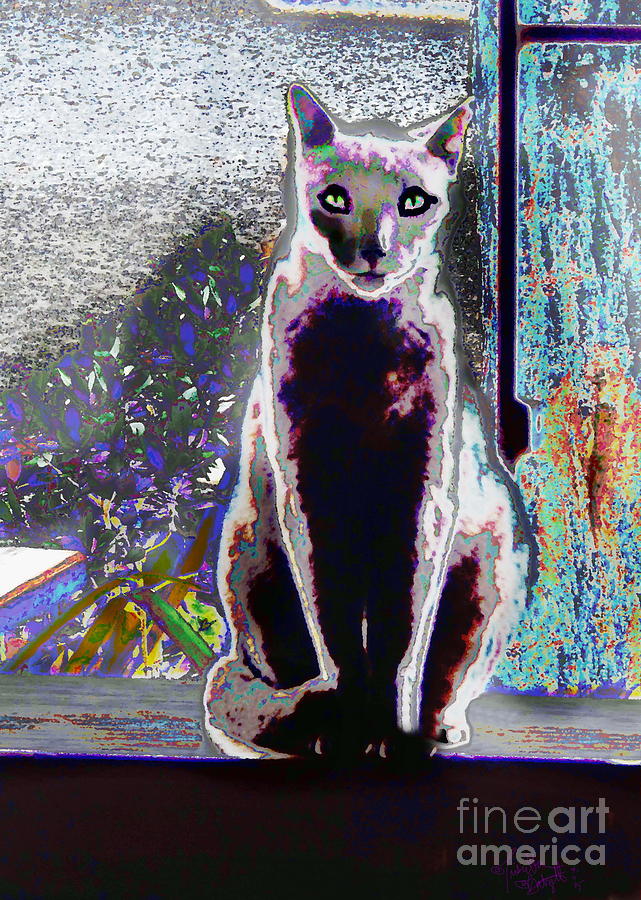 Regal Puss Digital Art by Priscilla Batzell Expressionist Art Studio Gallery