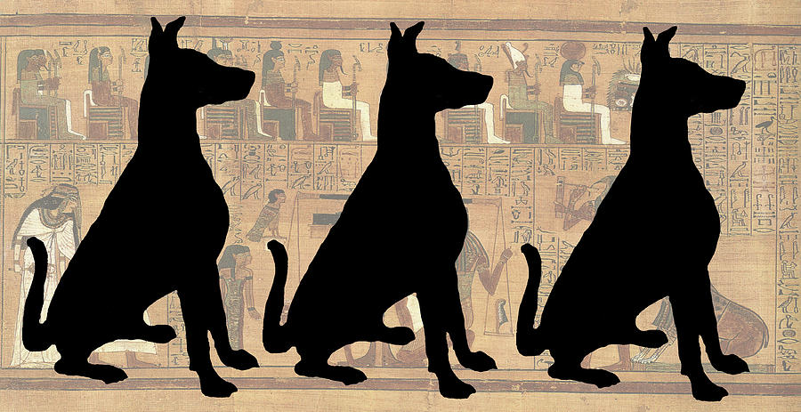 Dog Photograph - Regal Sit, Ancient Egyptian Background by Karla Beatty Dog Photograph - Regal Sit, Ancient Egyptian Background by Karla Beatty