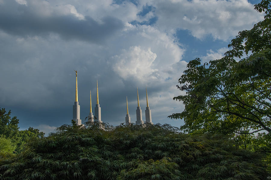 Regal spires Photograph by Brian Green