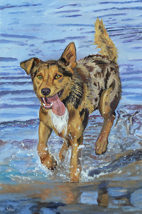 Australian Kelpie Painting - Reggie Portrait of a Working Dog by Kellie Straw