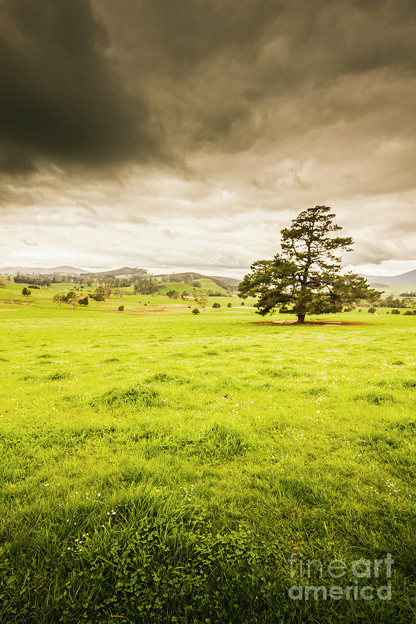 Regional rural land Photograph by Jorgo Photography