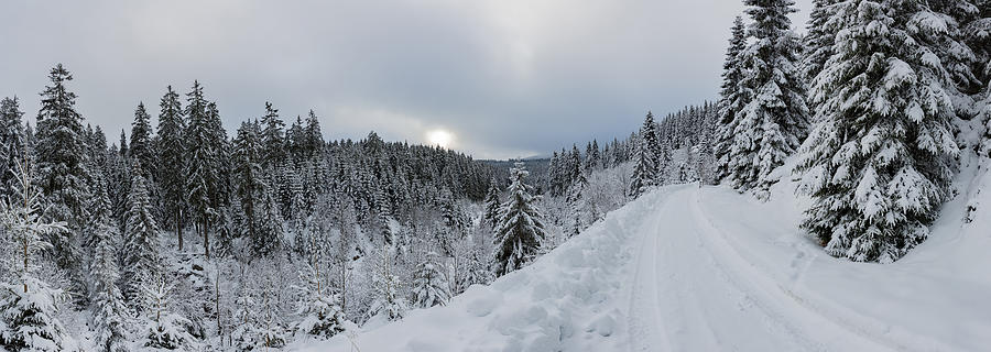 Rehberger Graben, Harz Photograph by Andreas Levi