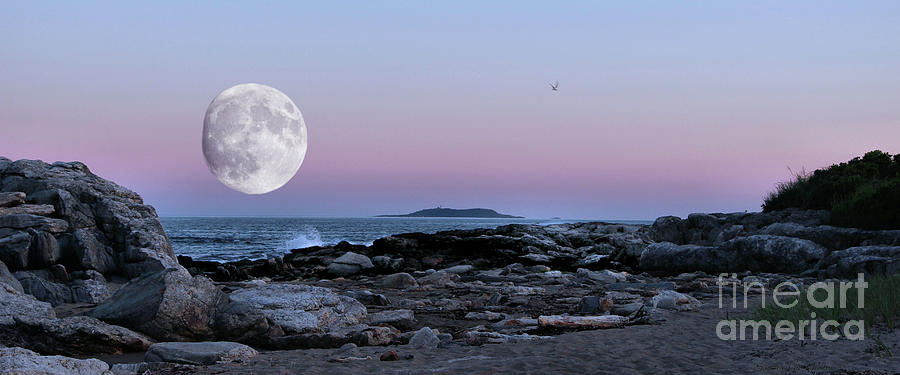 Reid State Park Super Moon Panorama Photograph by Sandra Huston