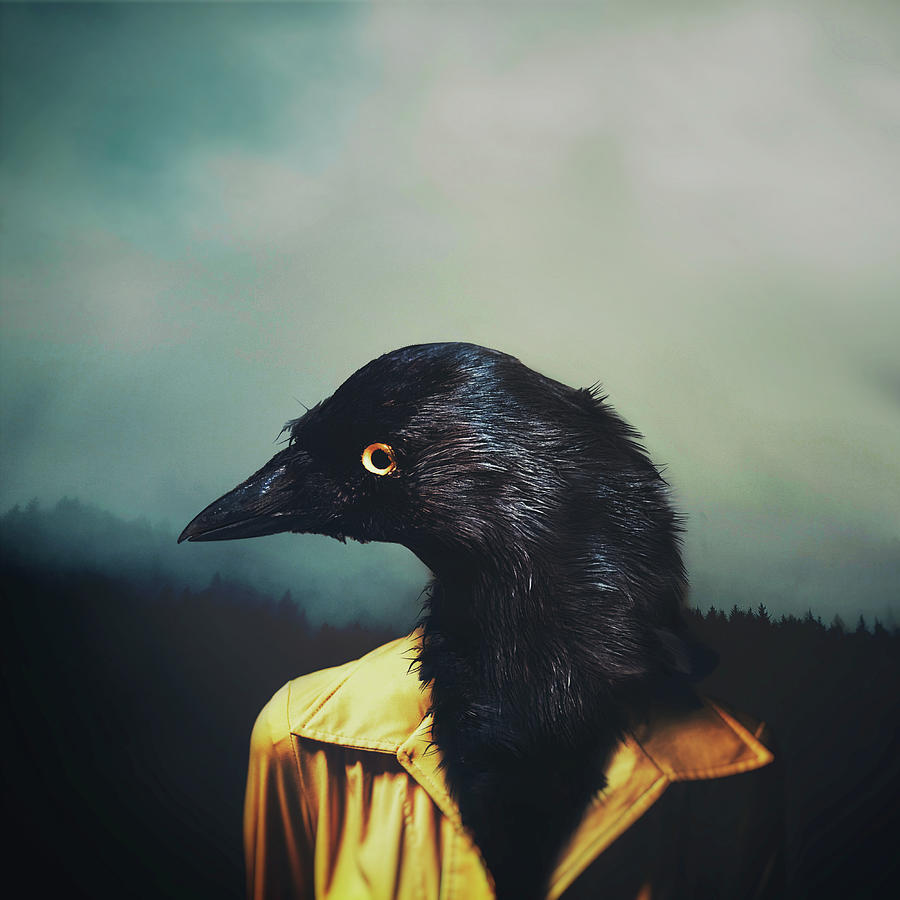 Crow Digital Art - Reincarnate by Katherine Smit