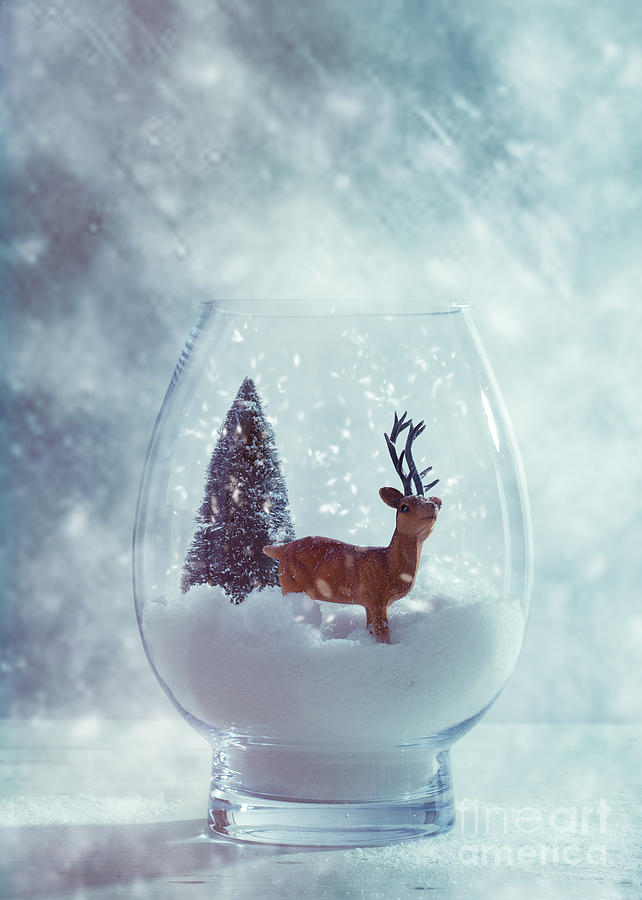 Christmas Photograph - Reindeer In Glass Snow Globe  by Amanda Elwell