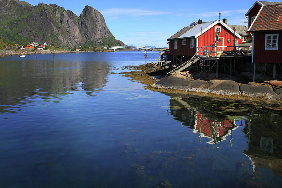 Fishing Village Digital Art - Reine, Norway by Lisa Redfern
