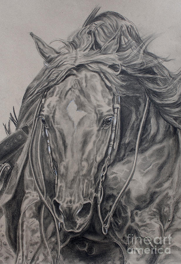 Reiner Drawing by Jana Goode