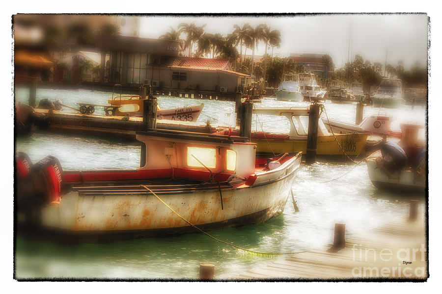 Aruba Photograph - Aruban Quay by Steven Digman Aruba Photograph - Aruban Quay by Steven Digman