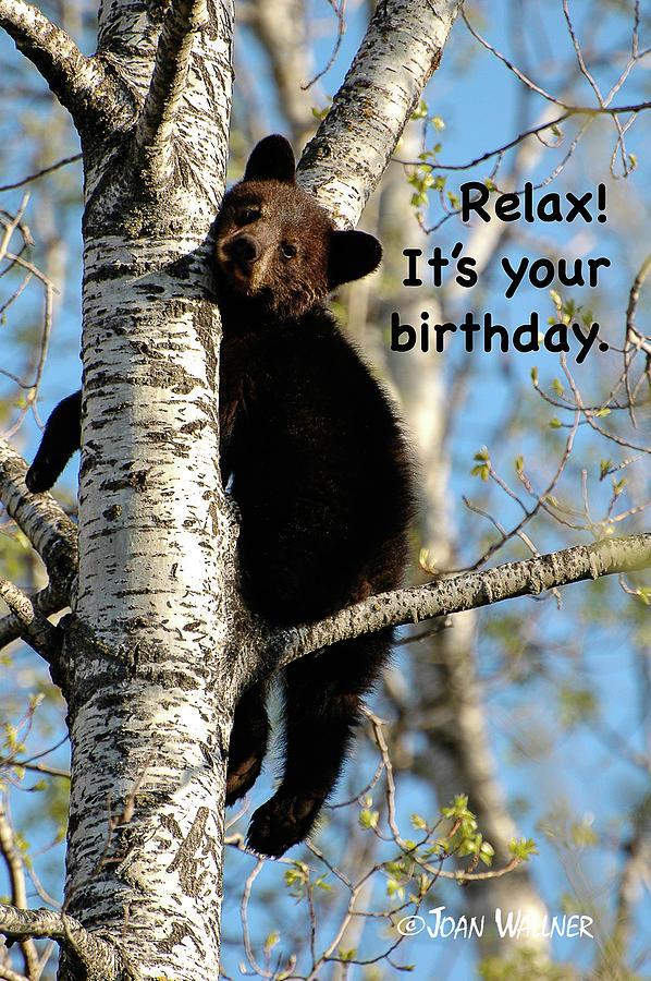 Relax. Its your birthday Photograph by Joan Wallner