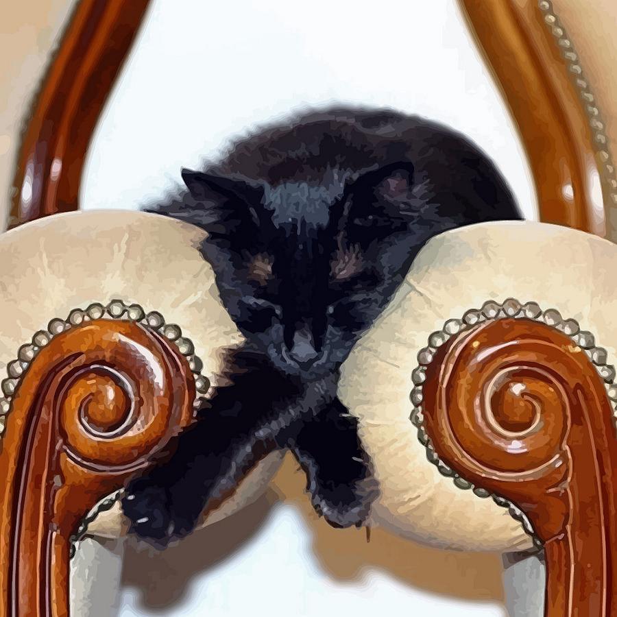 Relaxed Black Cat Sleeping Between Two Chairs Photograph by Taiche Acrylic Art